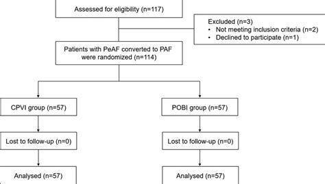 Electrical posterior box isolation in persistent atrial fibrillation 